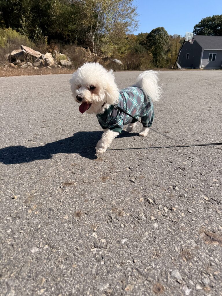 Happy Mylo Monday
