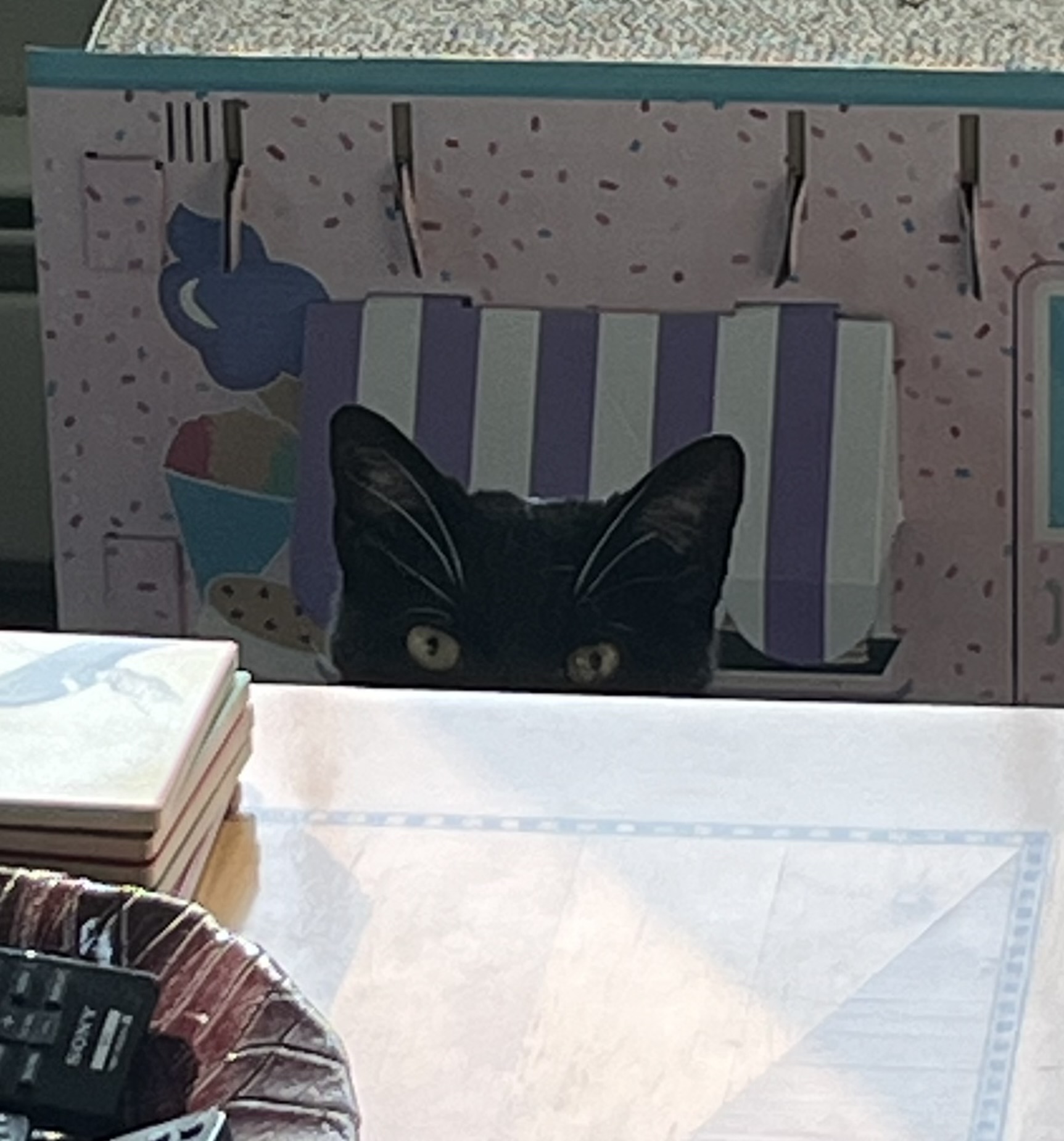 Keeping His Eye On Me