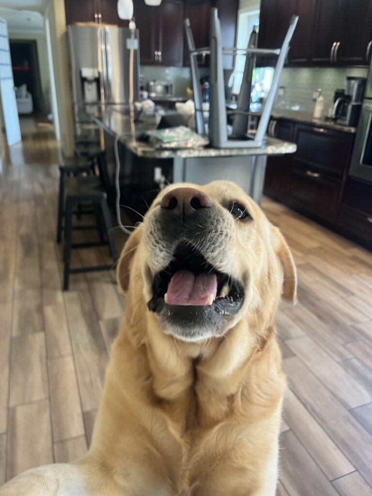 Tucker Bringing The Sunshine!