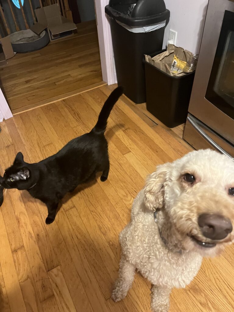 More love to share with this pair