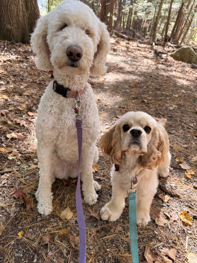 Trail Runner