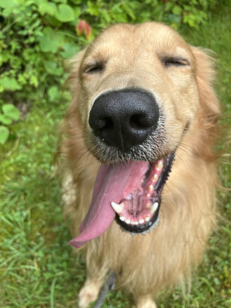 Monday with Maxwell !