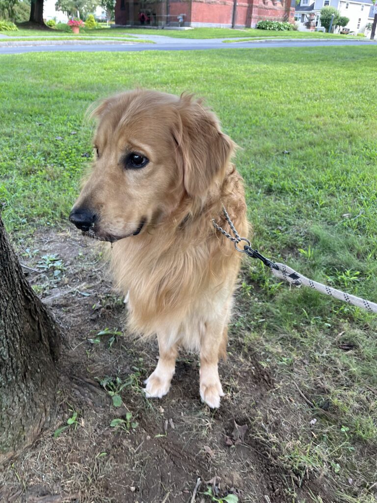 Maxwell observes the mowers