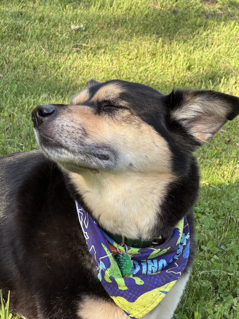 Soaking Up The Sun