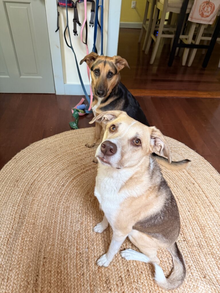 Twins