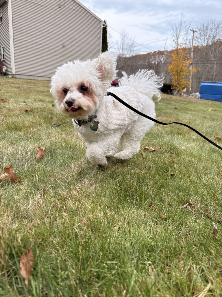 Runnnn