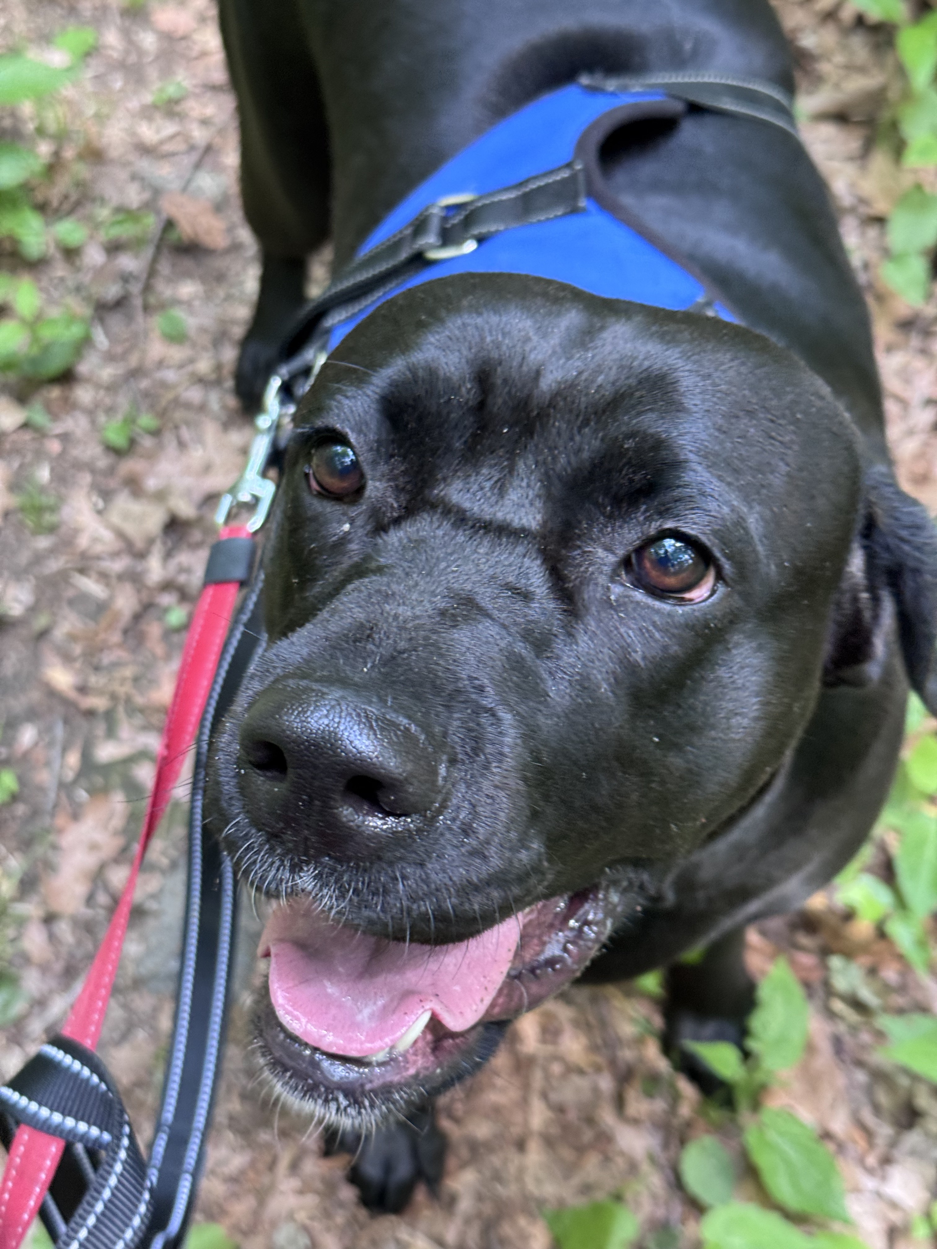 Trail Day!