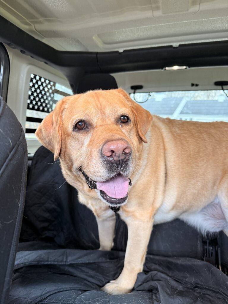 Happy Charlie