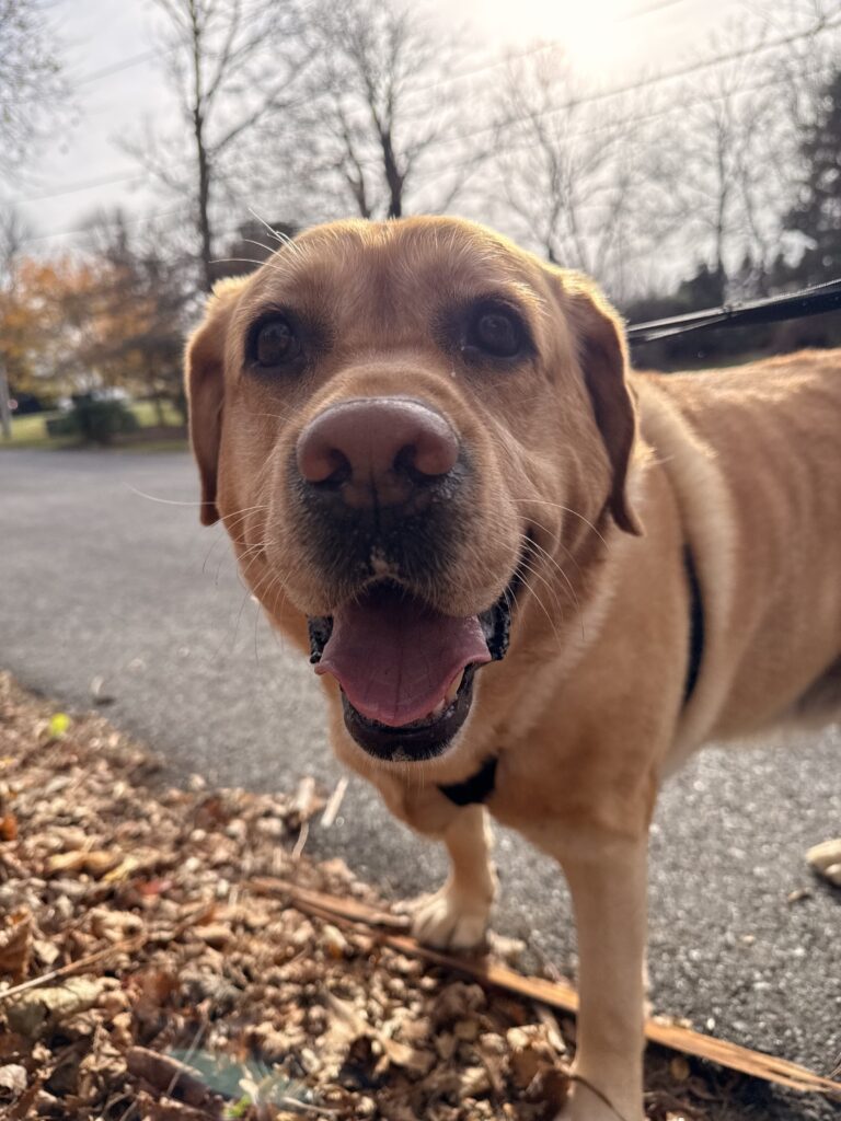 Big Handsome Charlie