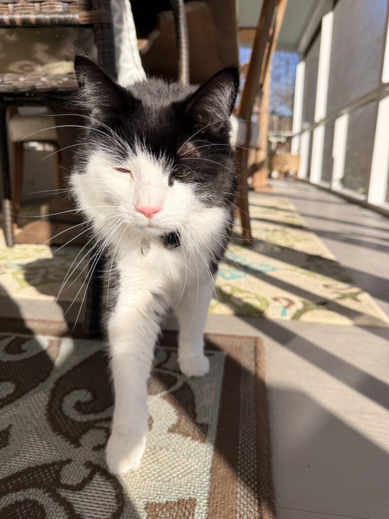 Porch Glow