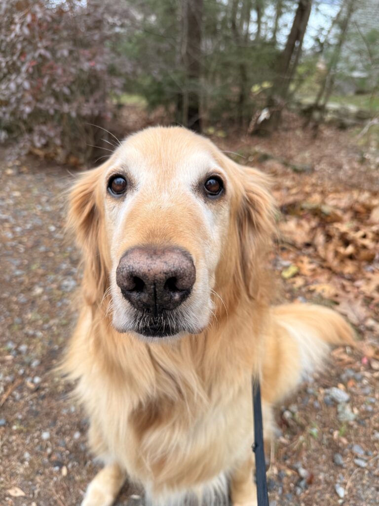Almost Calm Walk