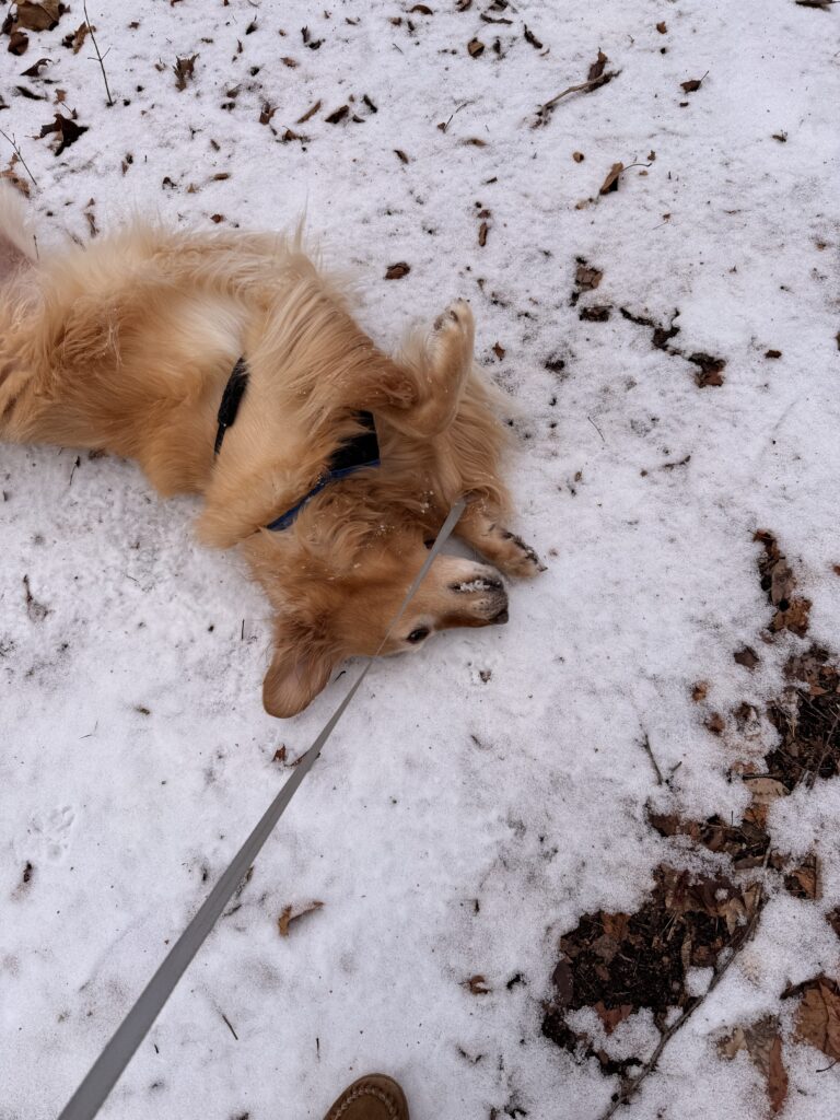 Snowman Julian