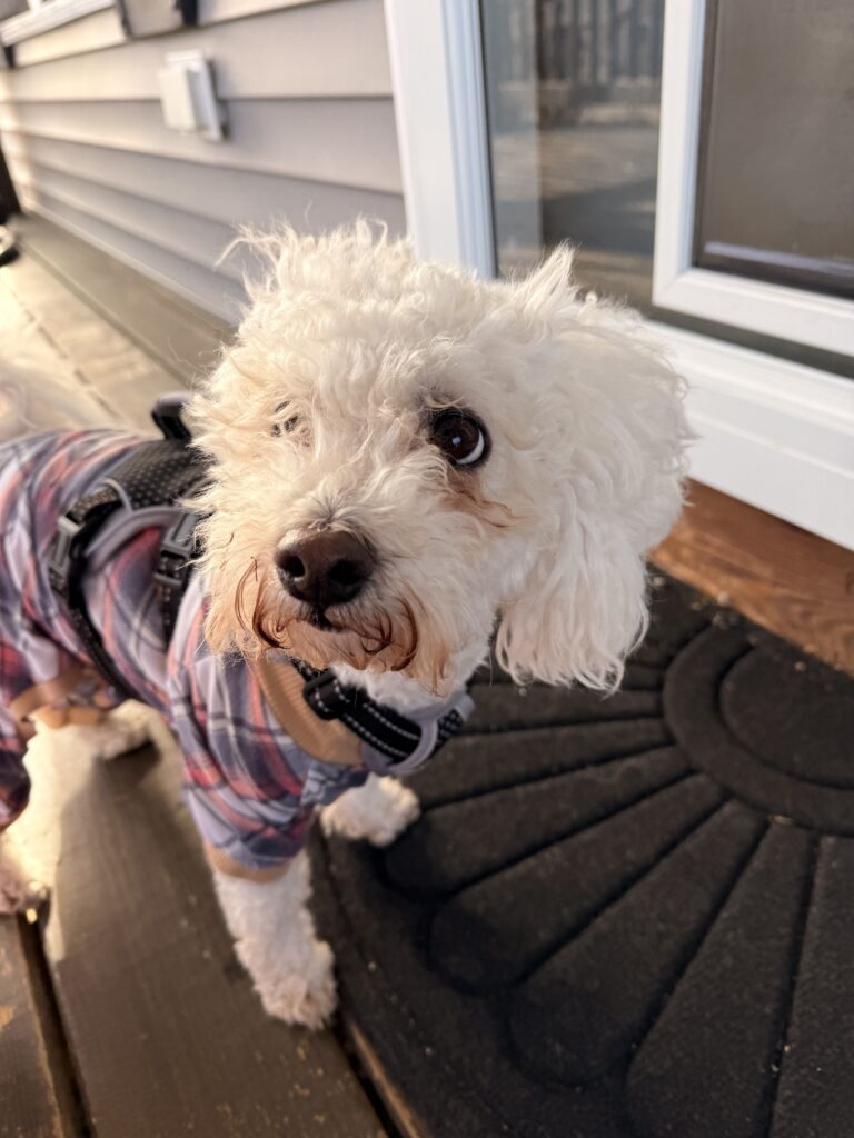 Windy Walk