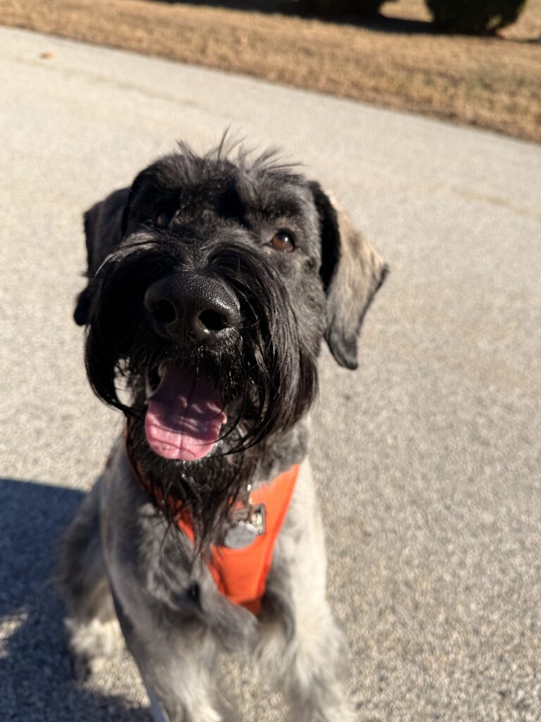 JASPERRR