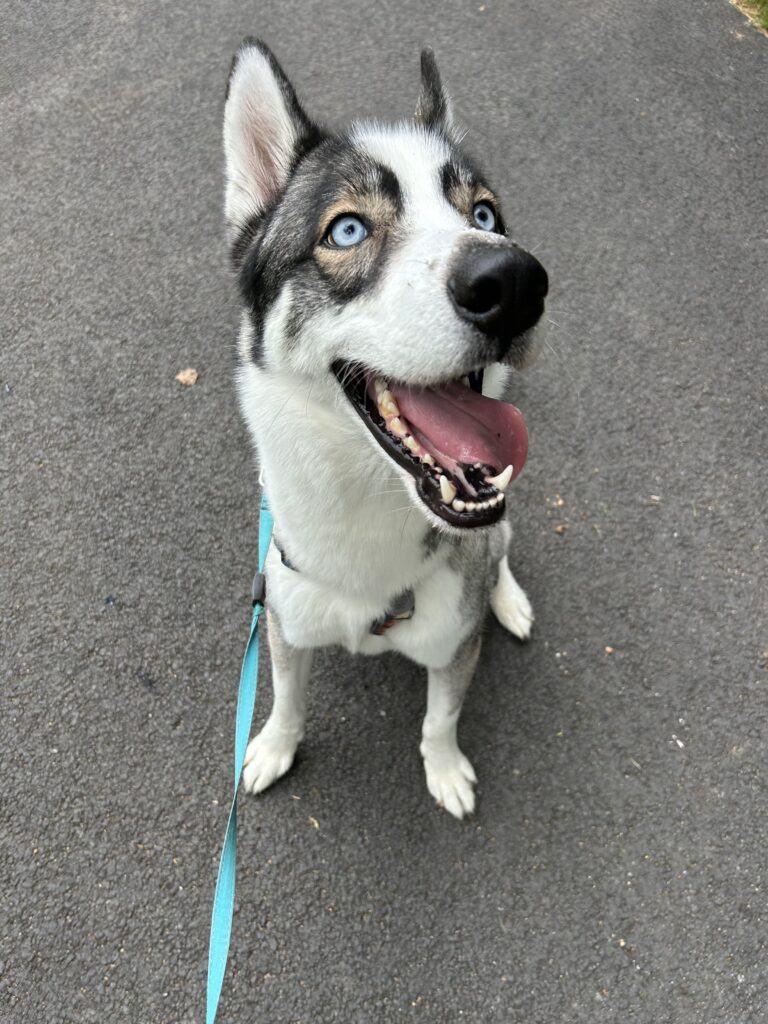 A rainy day doesn’t stop Packer from having the biggest smile on his face.