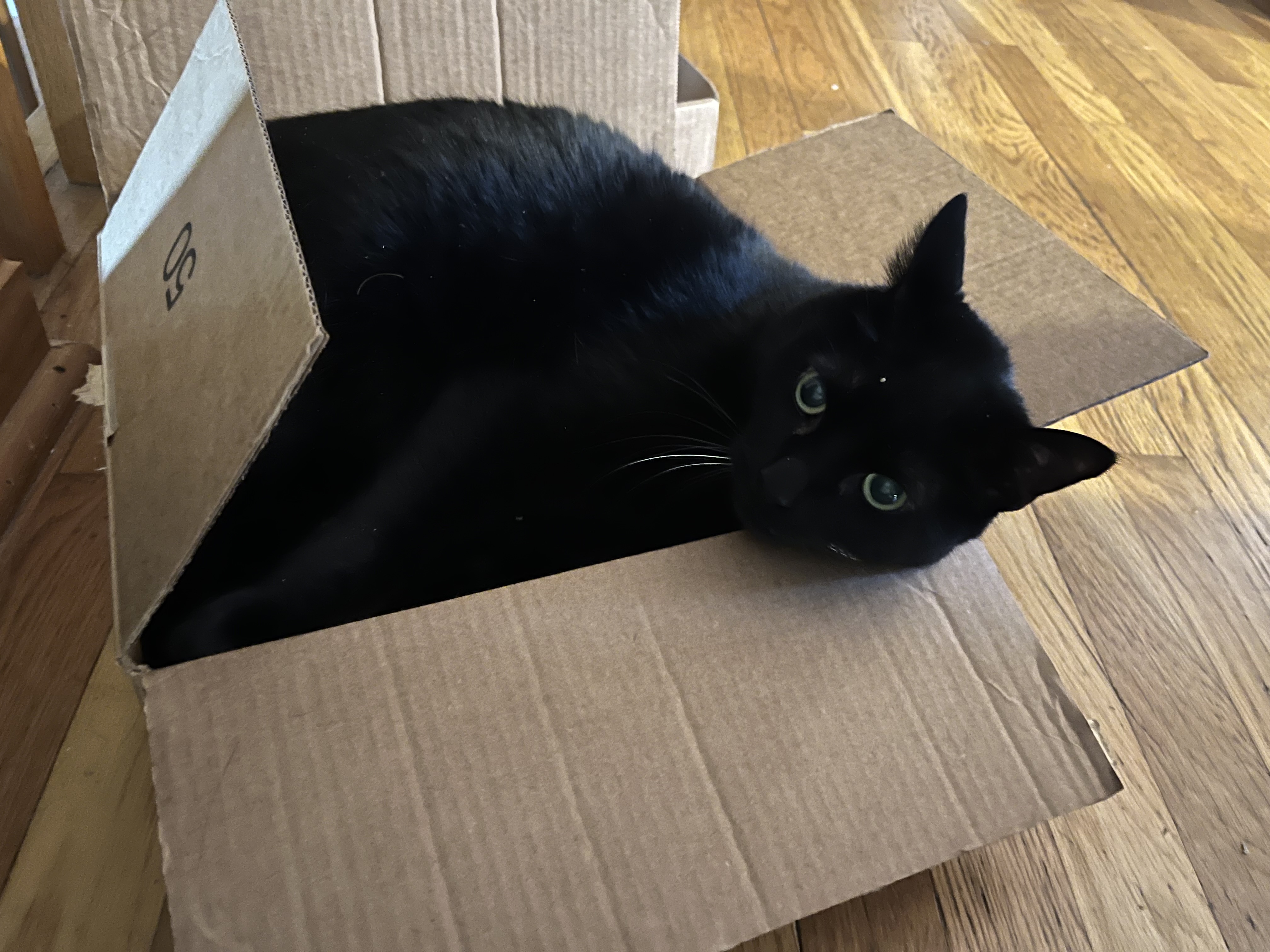 Cash in a box