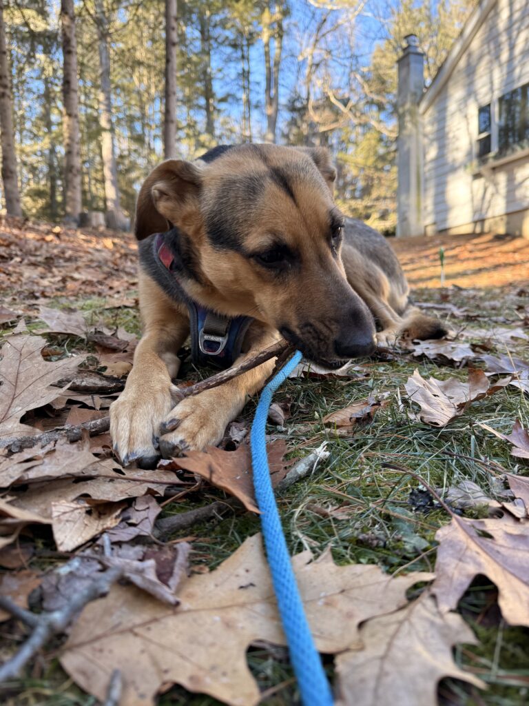 Stick Connoisseurs