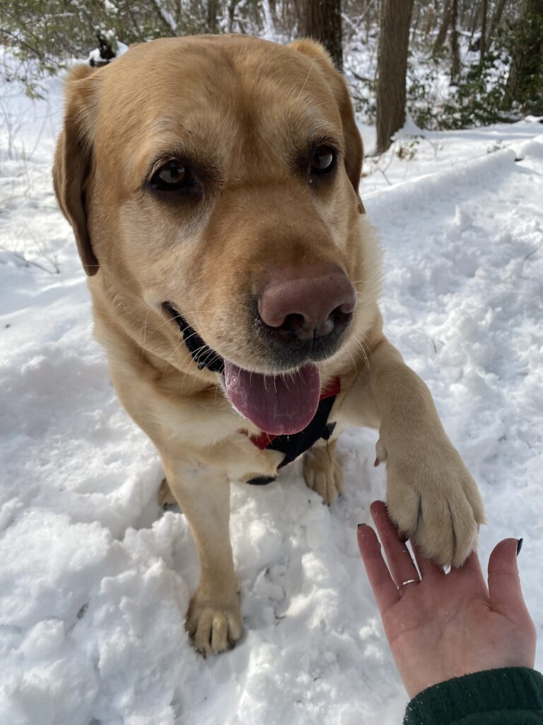 High Fives And Hide And Seek 🖐️