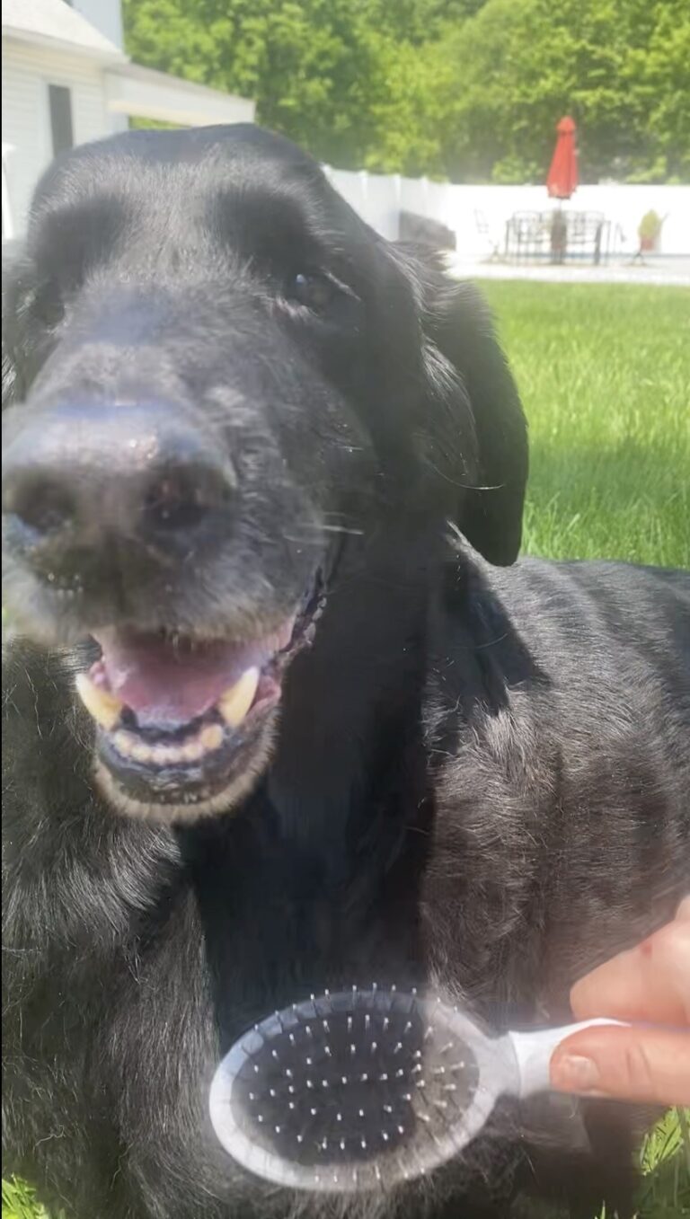 Grazin’ In The Grass