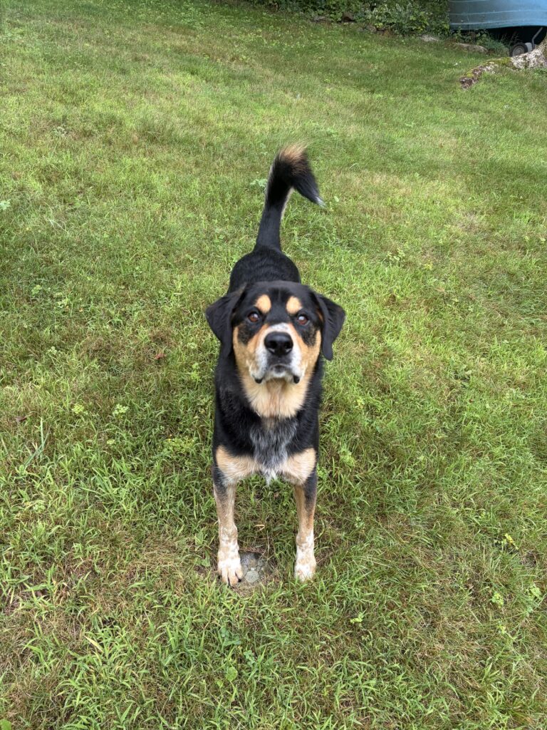 Photos From Monday’s Pet-sitting Visit