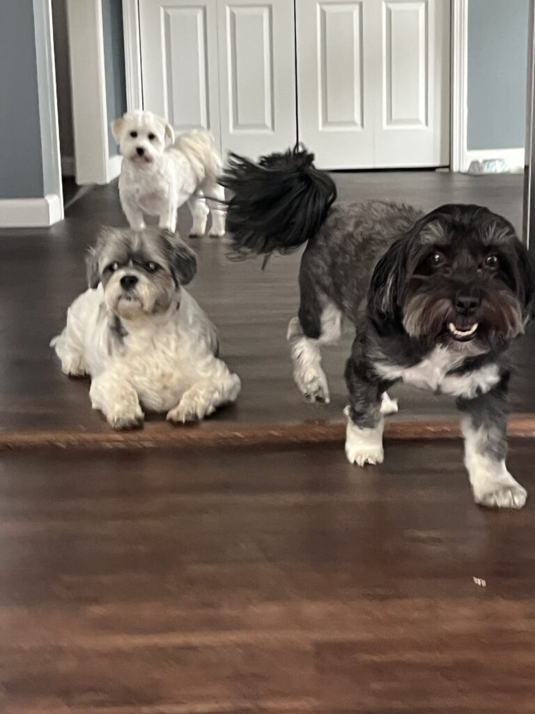 Three Company