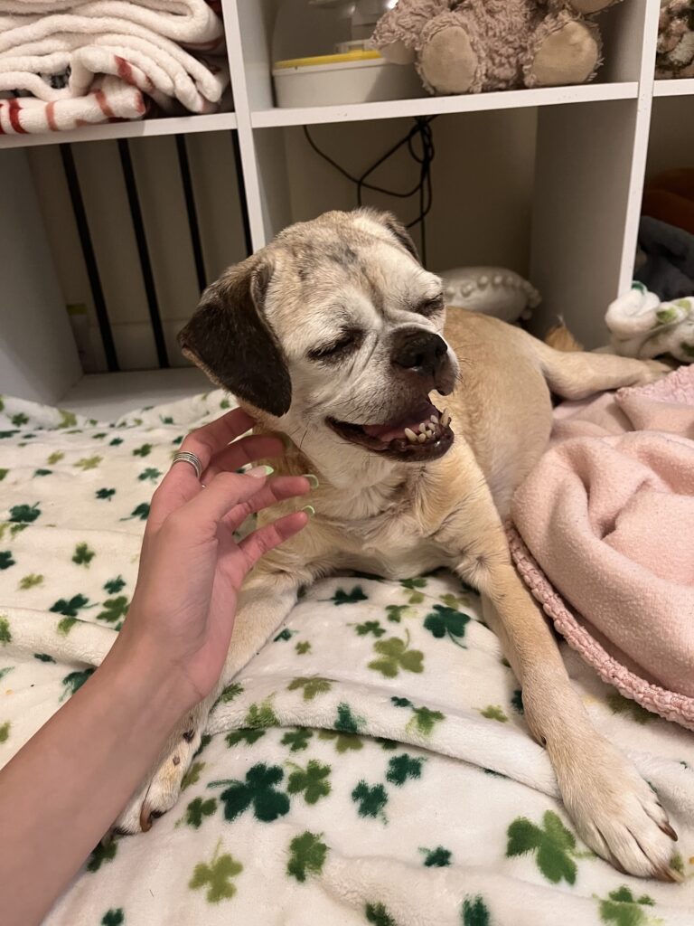 Sadie Lady