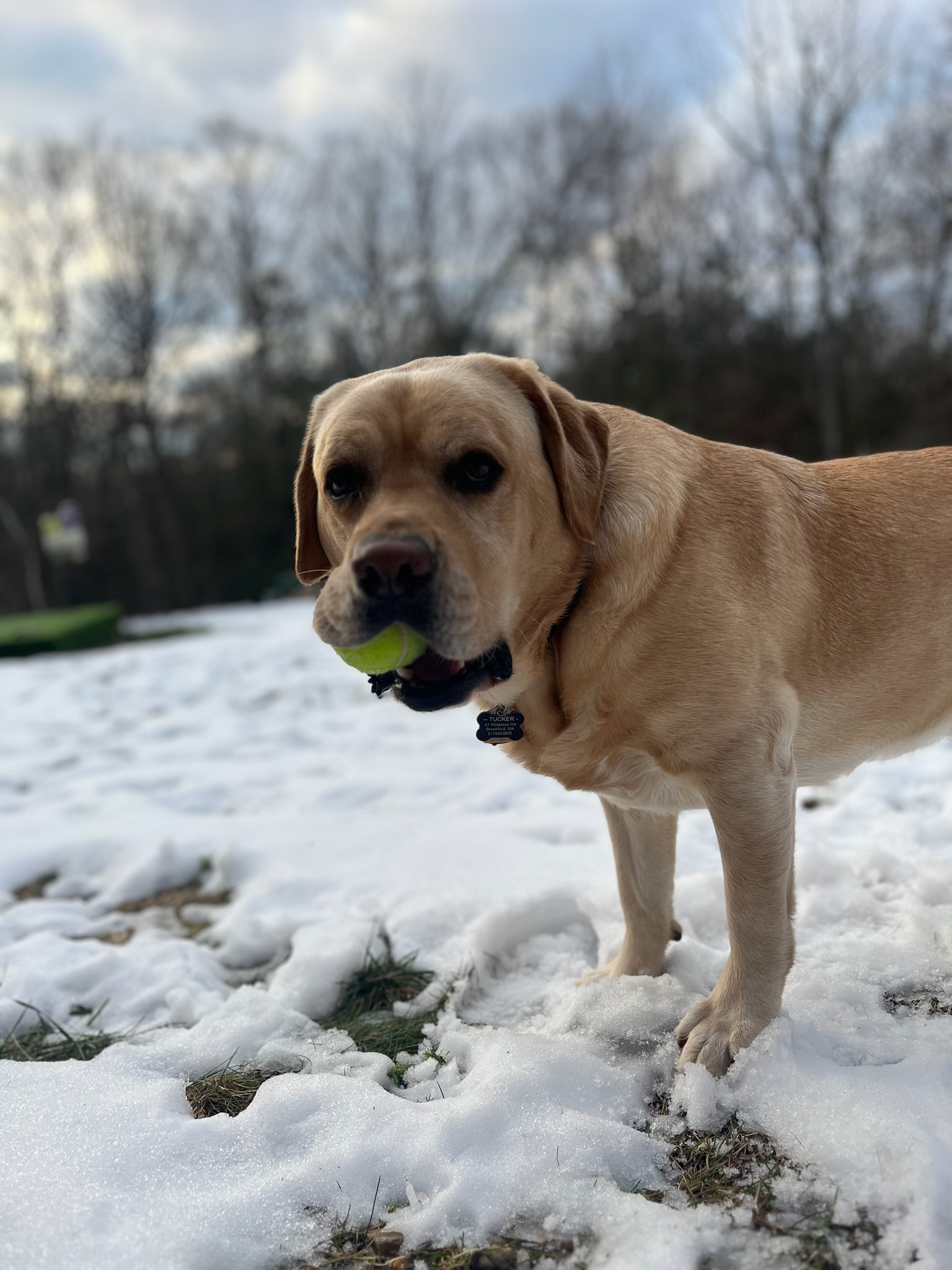 Time for Tucker!