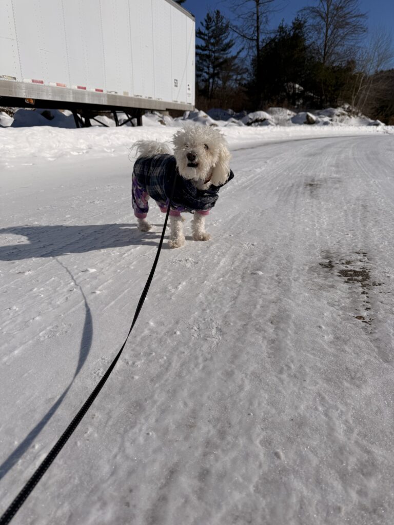 Silly Chilly Mylo