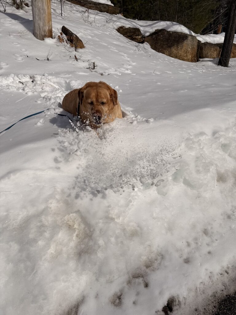 Party In The Snow Bank