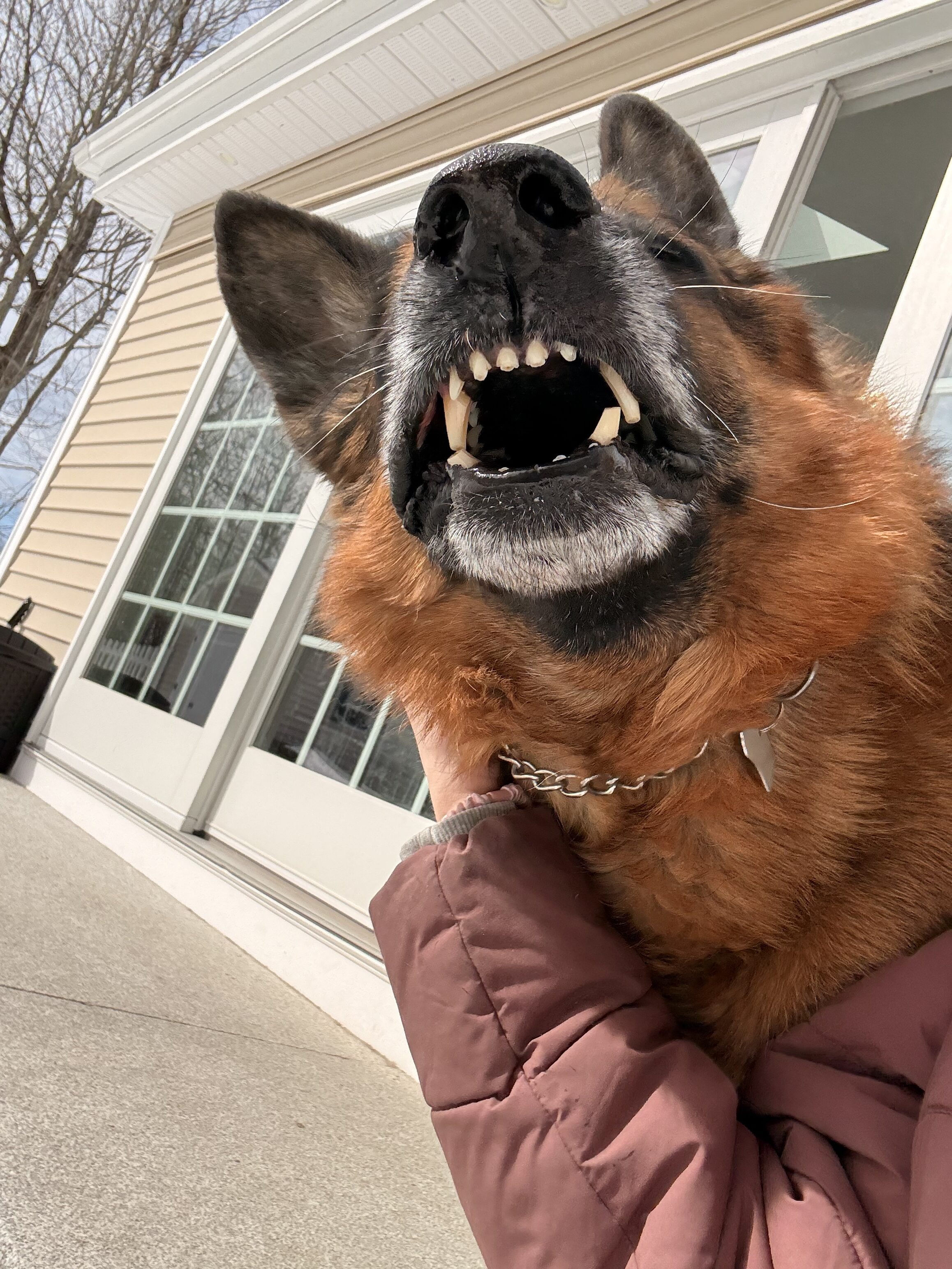 Buster says bring on the storm! 🌧️
