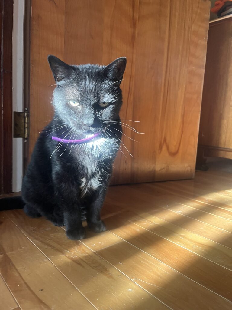 Basking Time