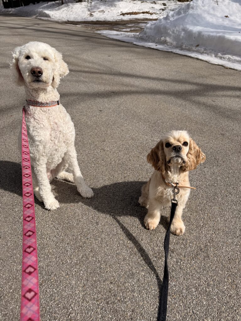 Besties Reunited