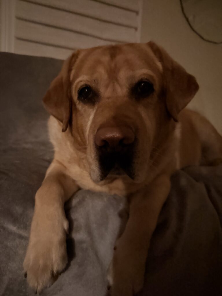 Early Bedtime