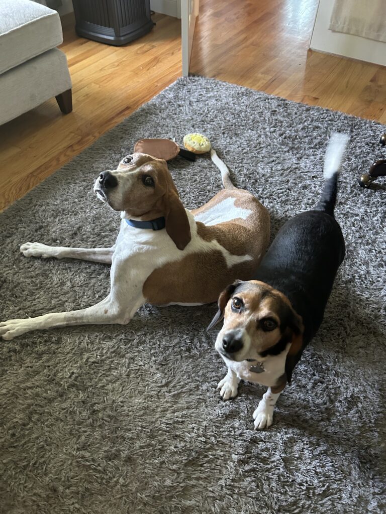 Sunday morning snuggles