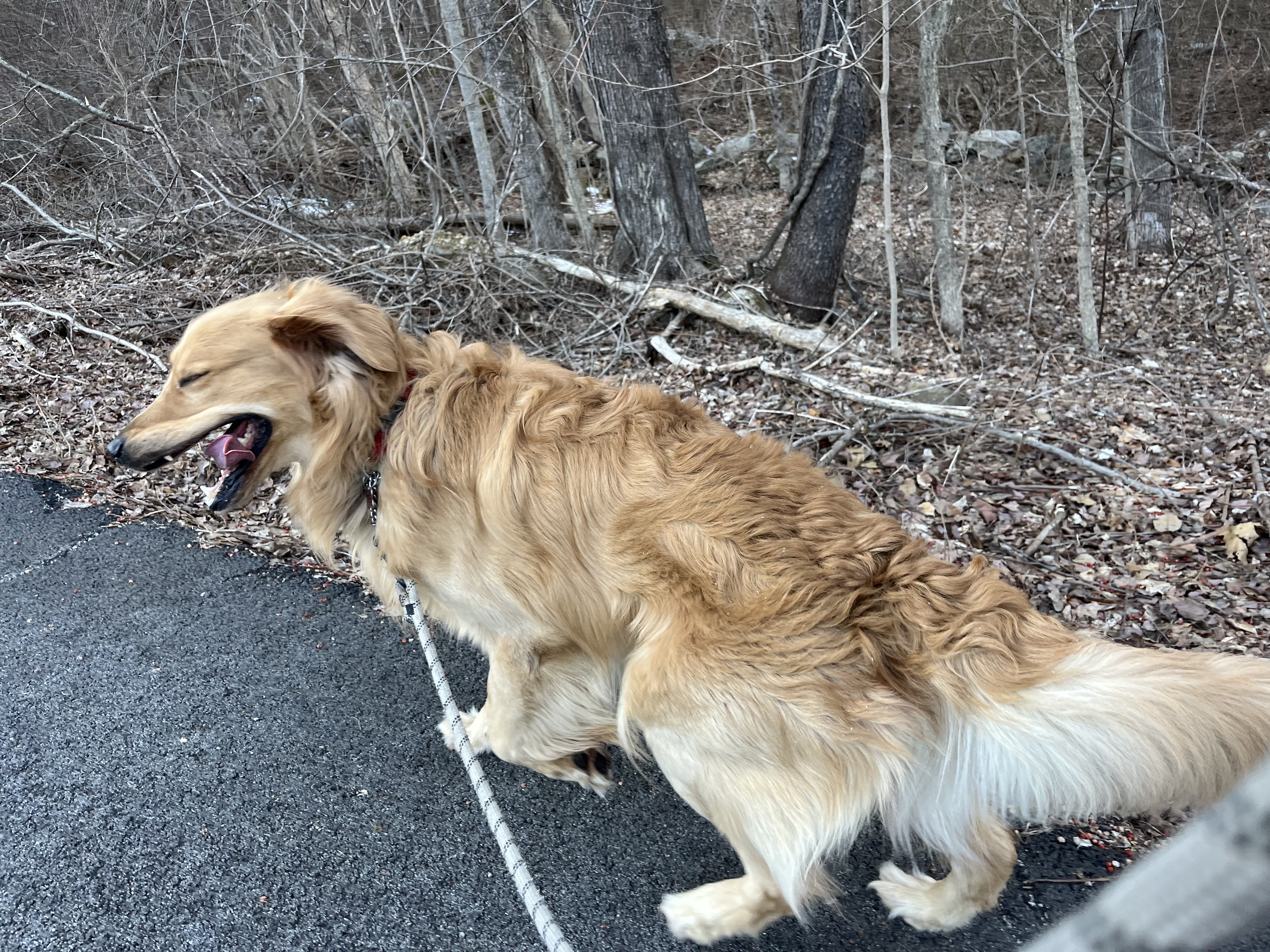 Sniff time away