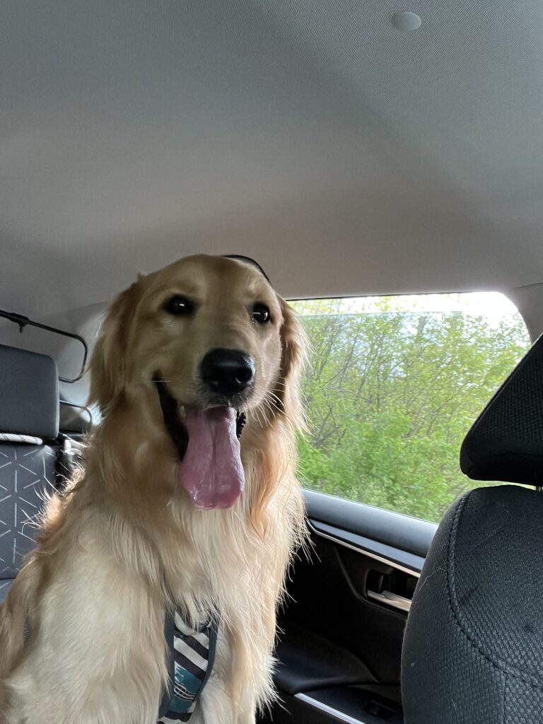 First day at daycare !!!