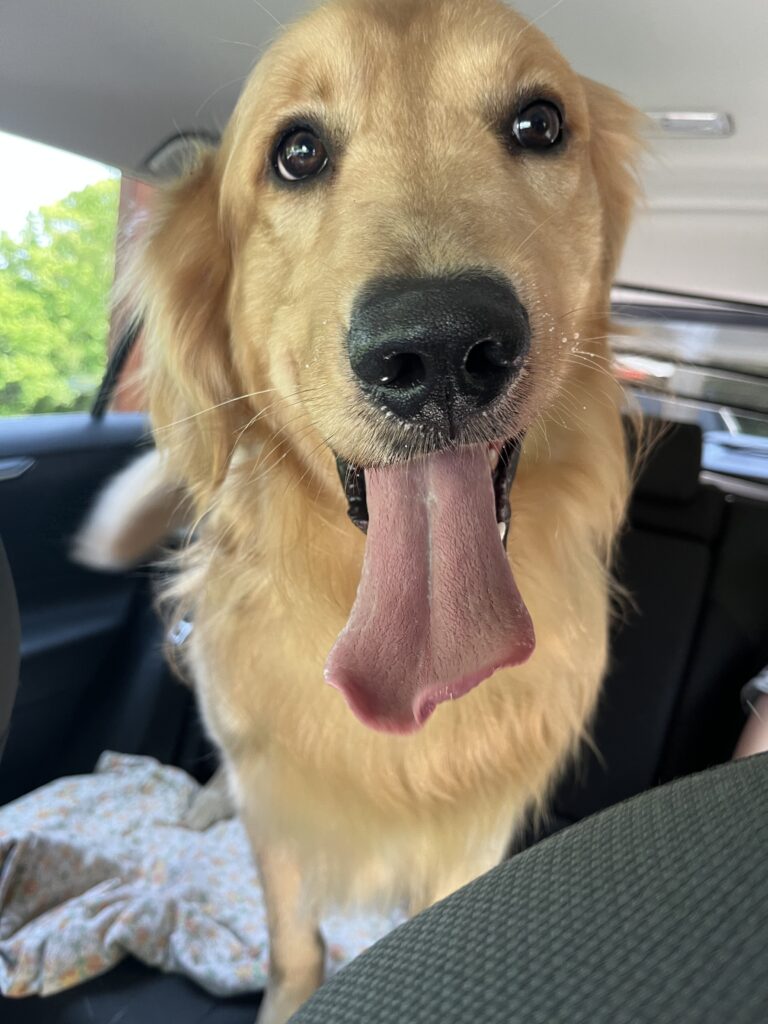 Best Passenger !
