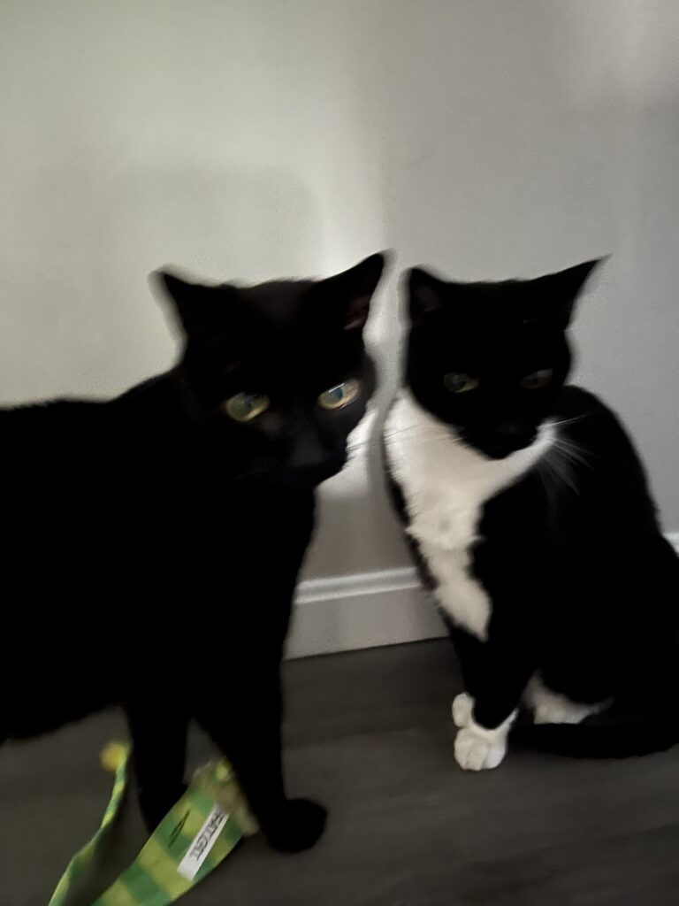 Dynamic Duo