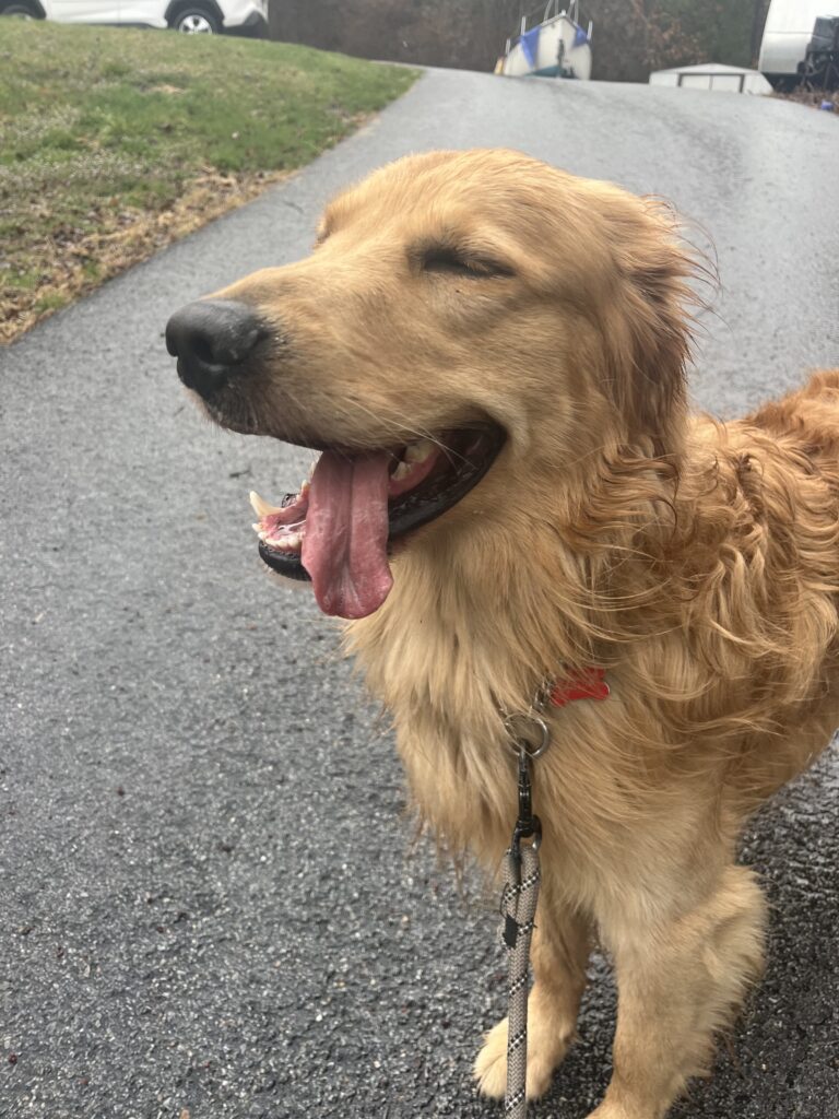 Rain doesn’t slow Maxwell down