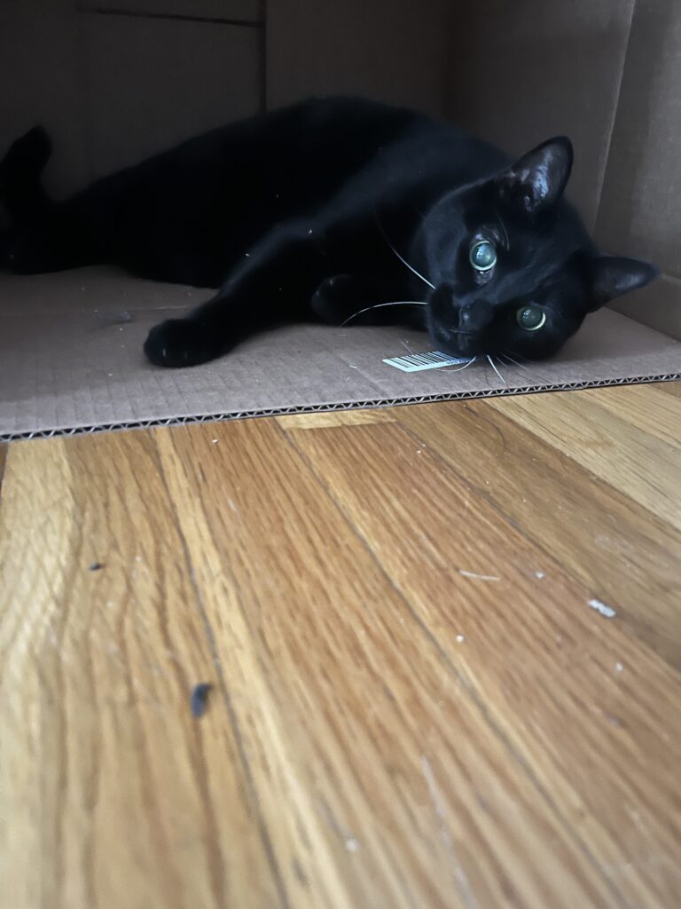 Play time fun