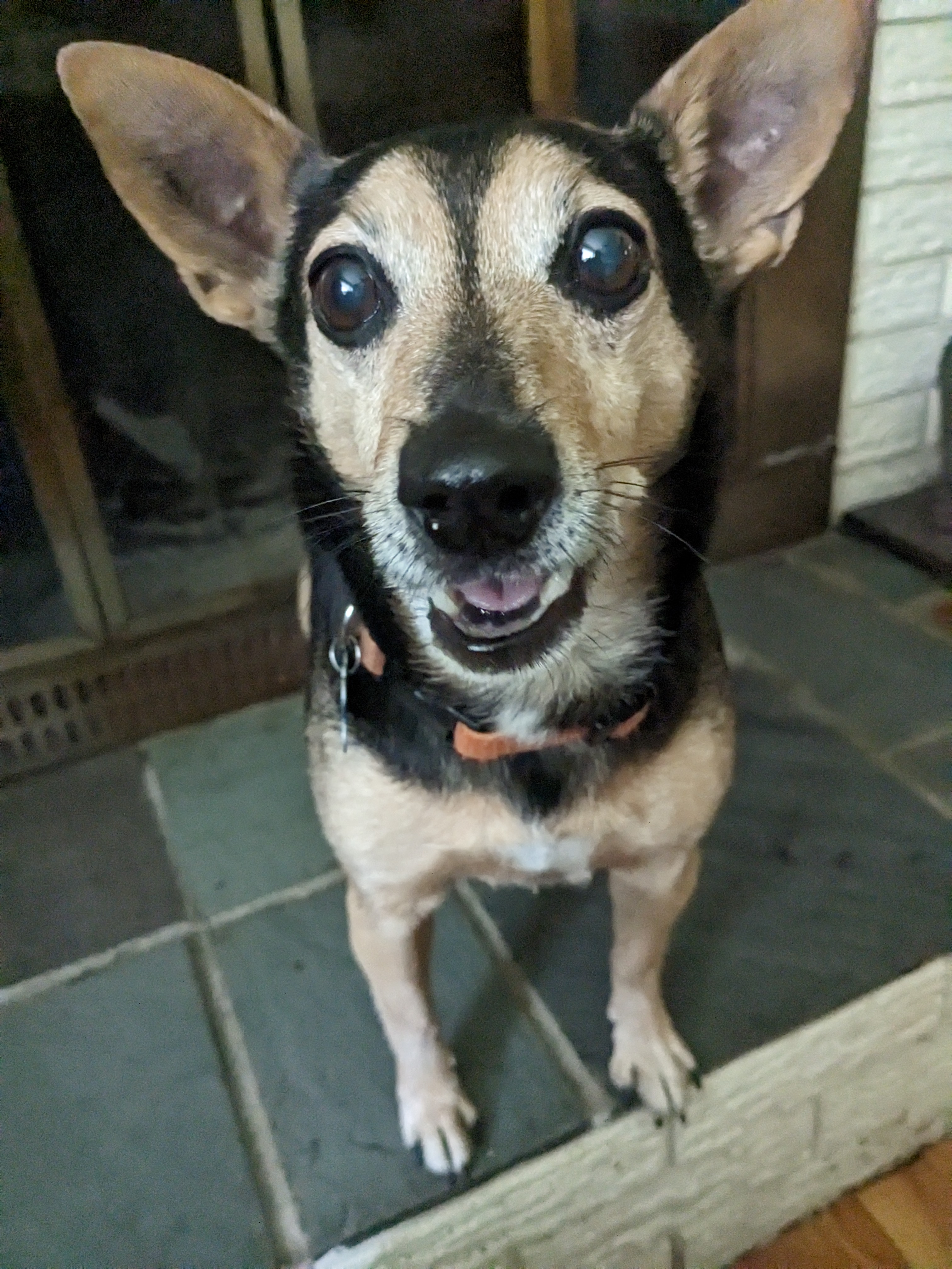My final visit with Ramus was awesome!
