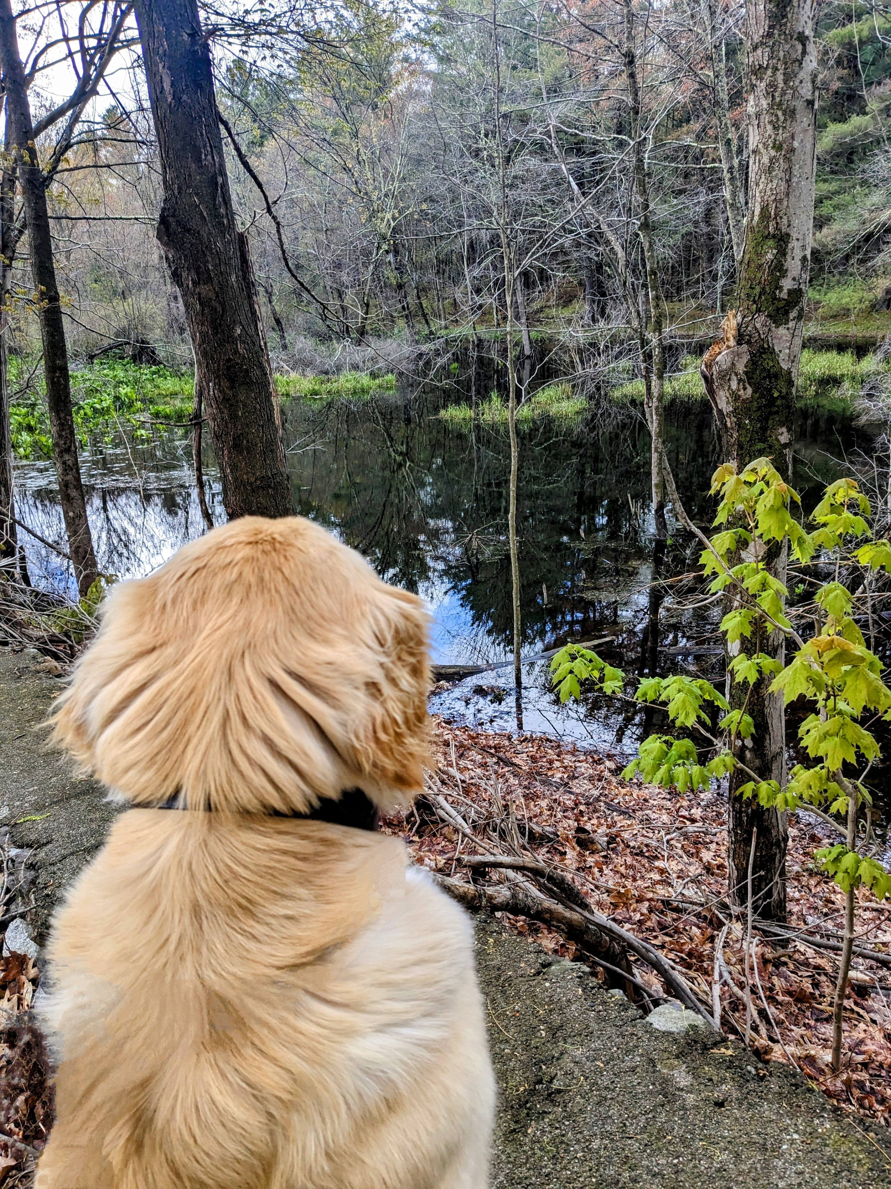 The rain didn’t stop Maddy from enjoying nature!
