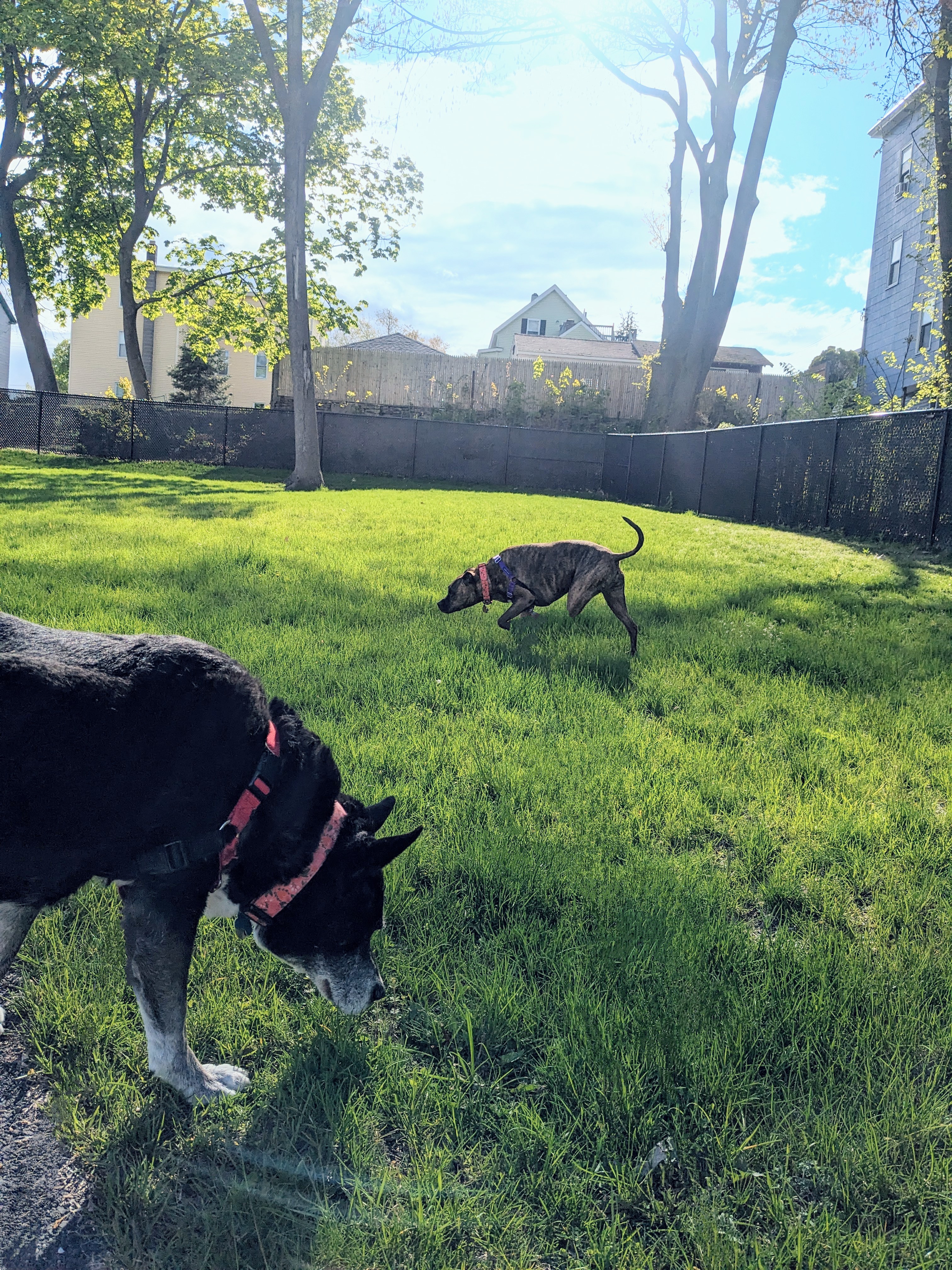 Hope and Sonya went to church on Friday but found no dogma