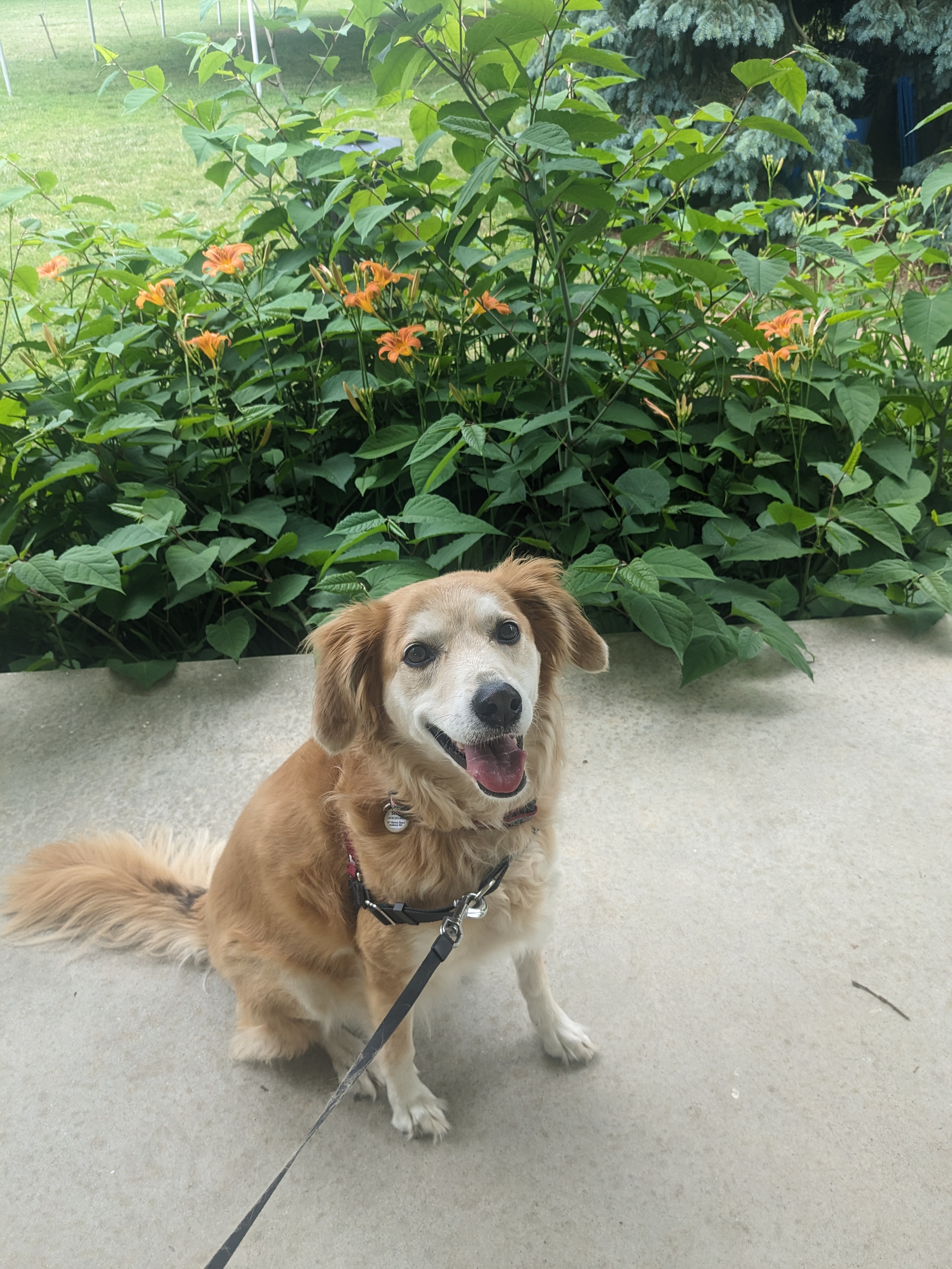Stella arrives for a fun-filled weekend with us