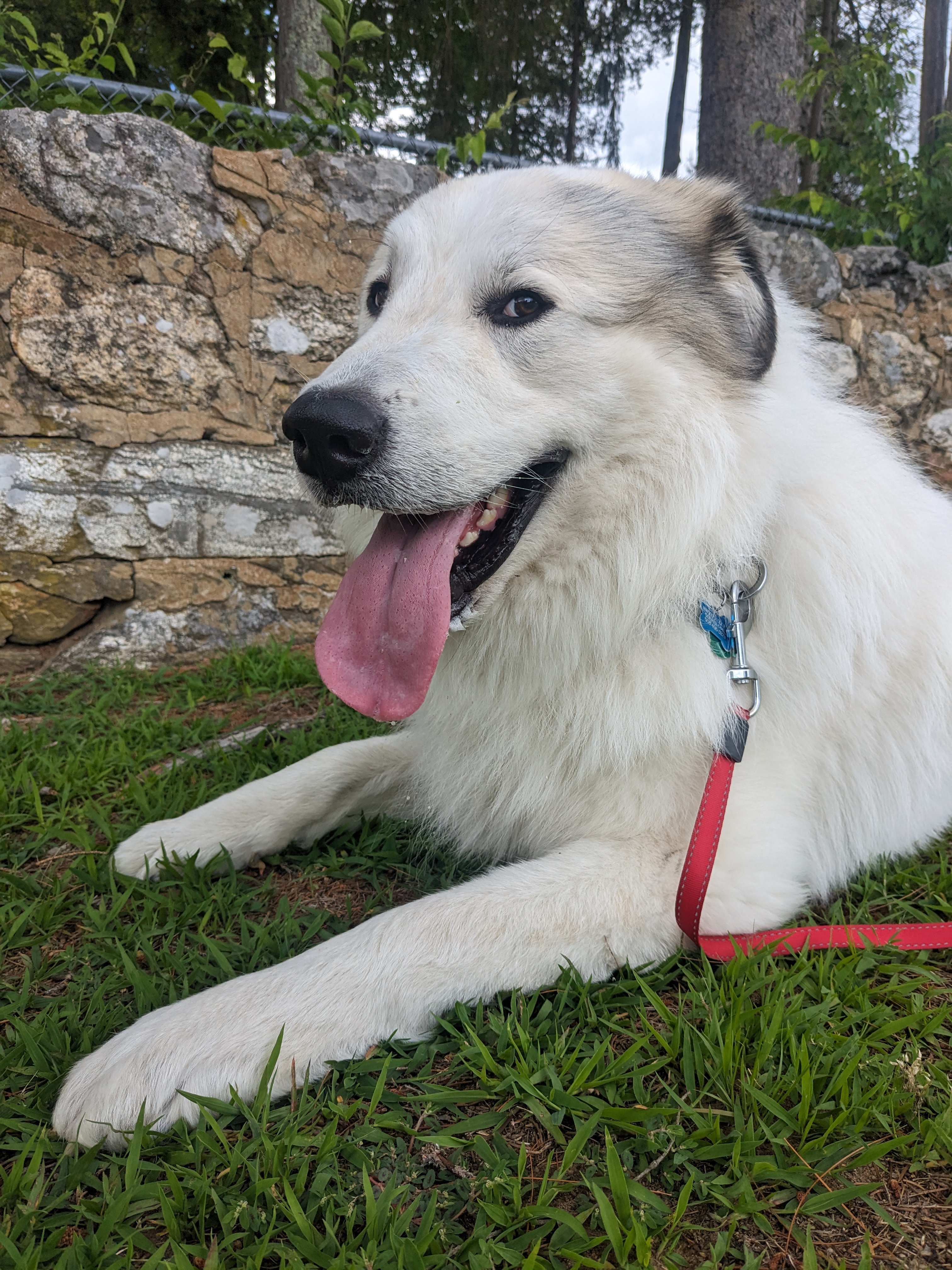 Aneto Staycation June 2023 wrap-up