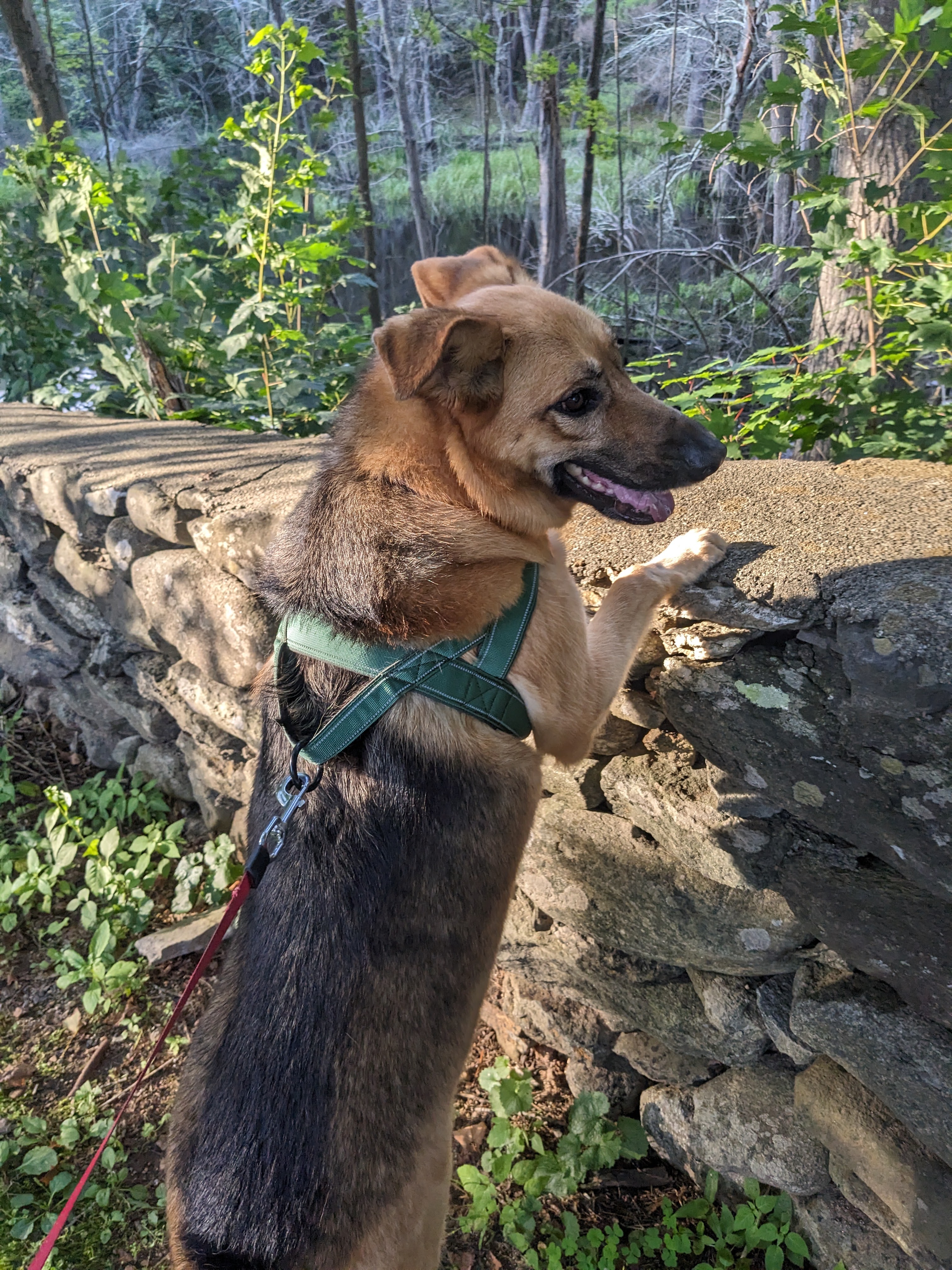 Dakota loves searching for the Creature from the Black Lagoon!