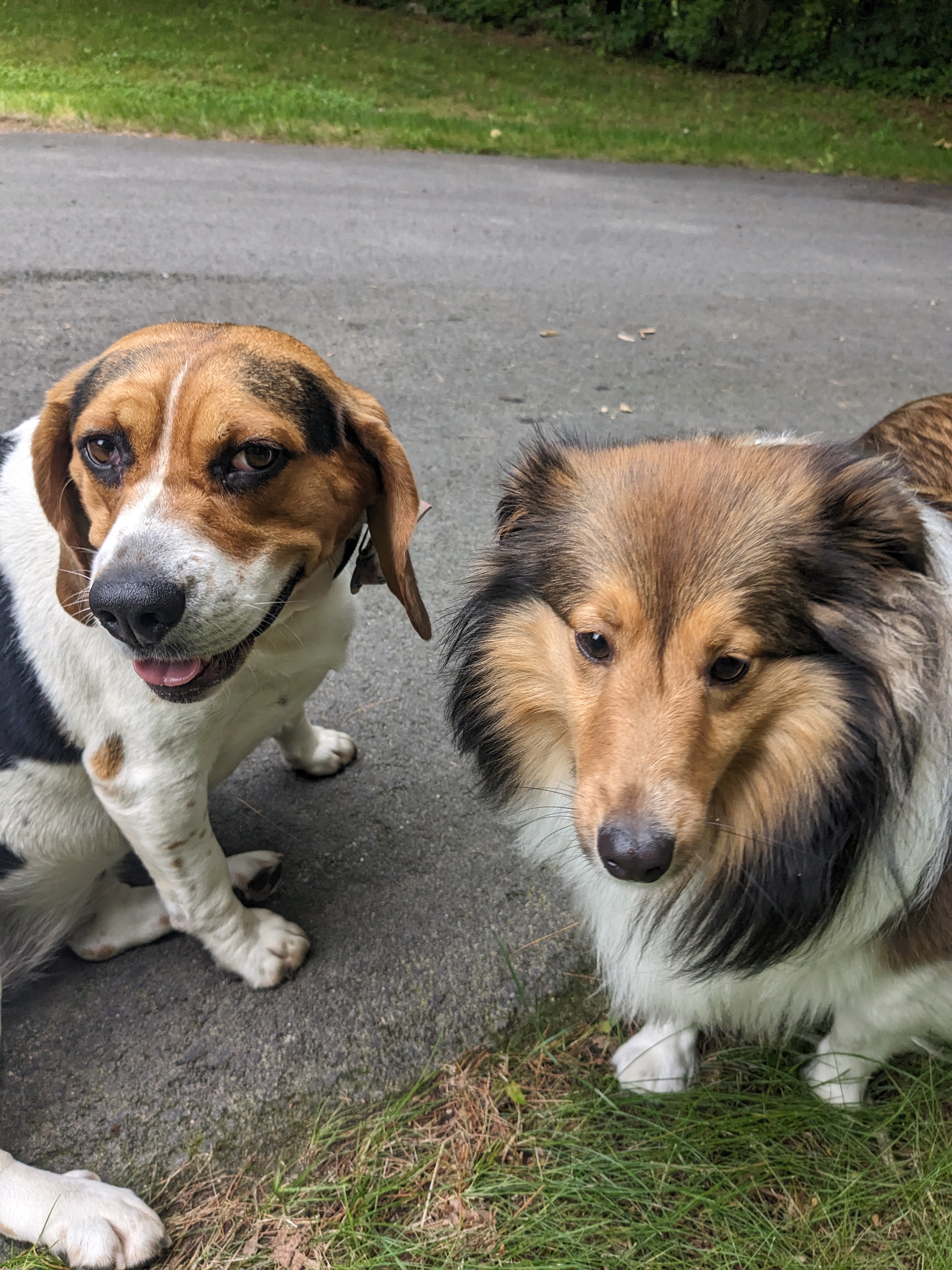 Winnie had a playdate!