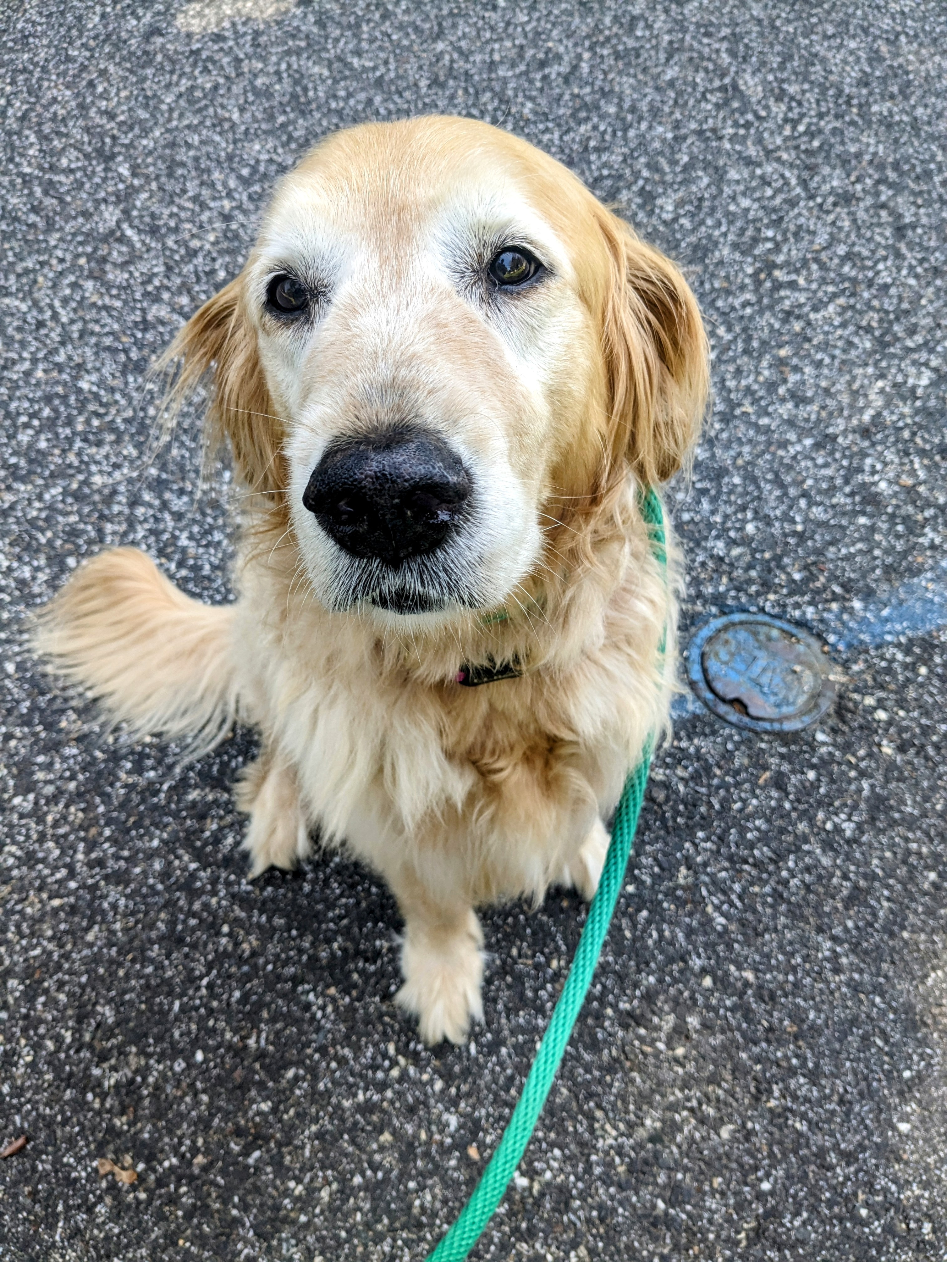 Maisy was all wags today!