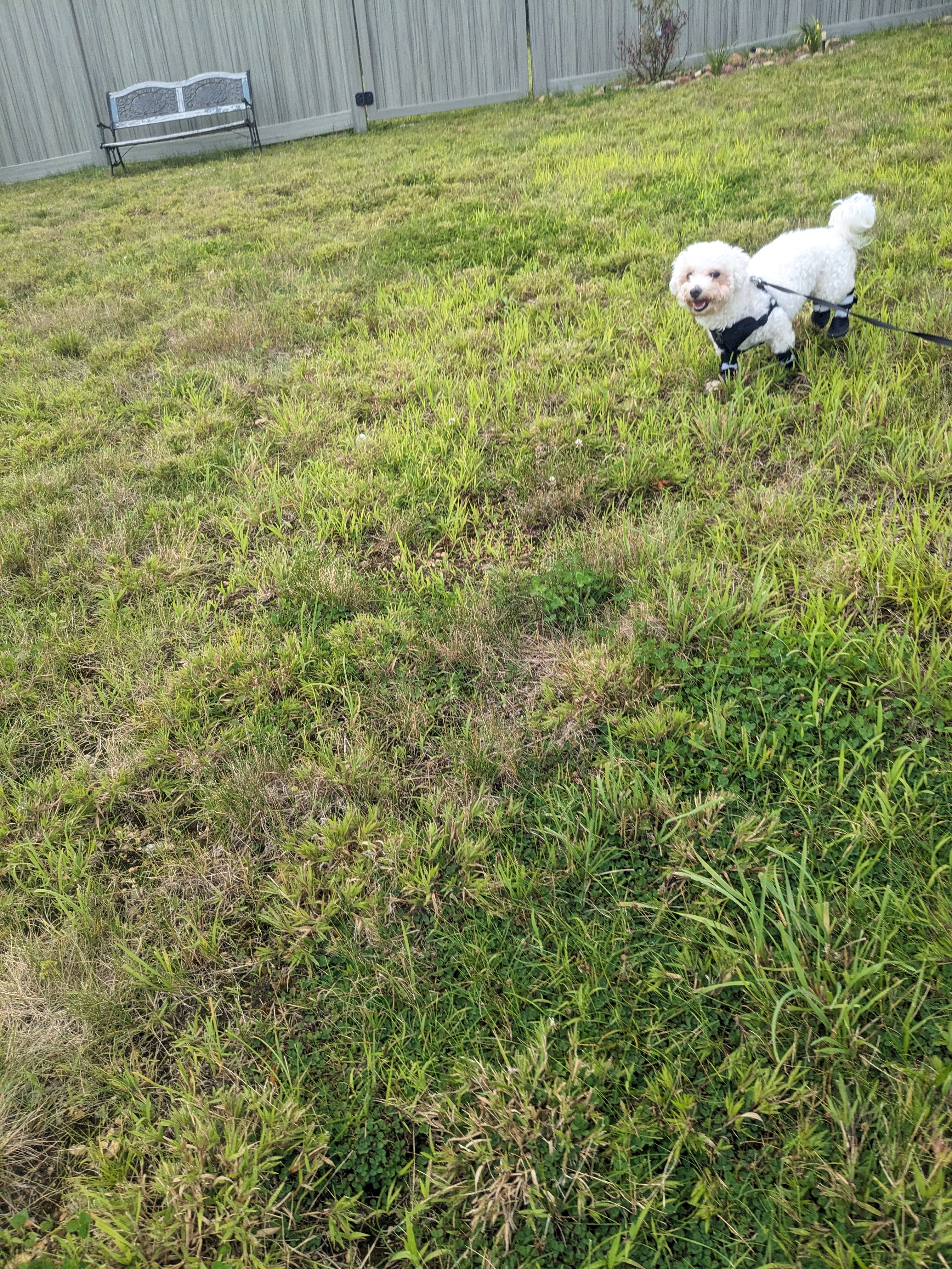 Mylo is so cool!