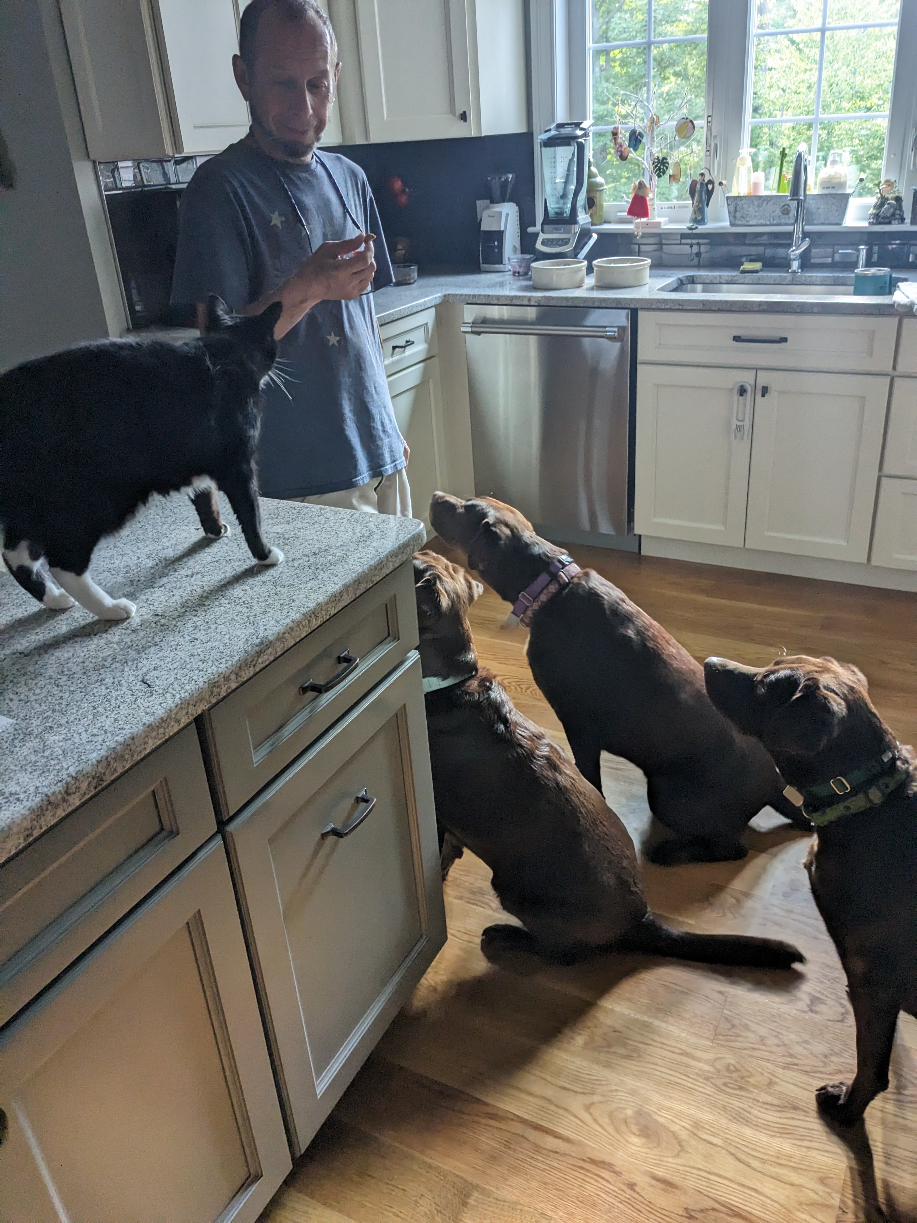 Family meal time